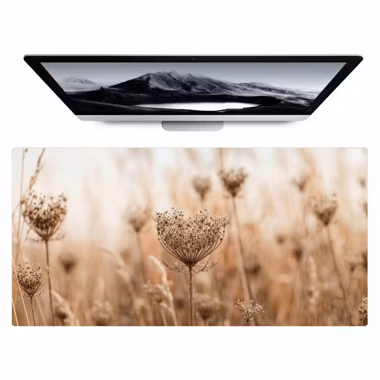 Schermbloem - Droogbloem - Winter - Beige - Minimalistisch Muismat XXL klein -zzz3d