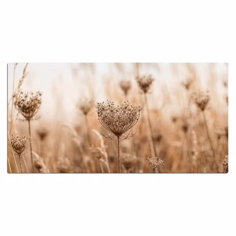 Schermbloem - Droogbloem - Winter - Beige - Minimalistisch Muismat XXL klein -3d_leeg
