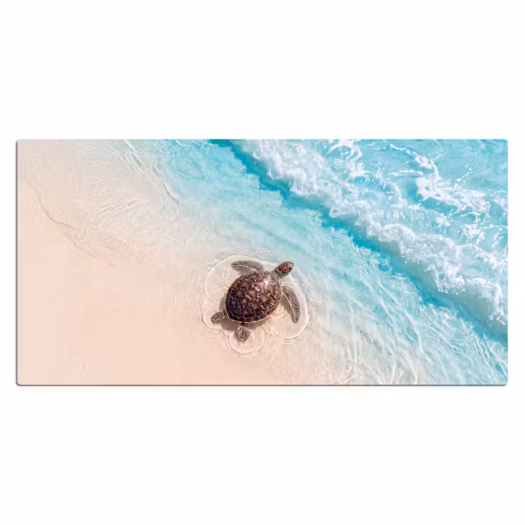 Schildpad - Helder water - Strand - Dieren - Natuur Muismat XXL klein -3d_leeg