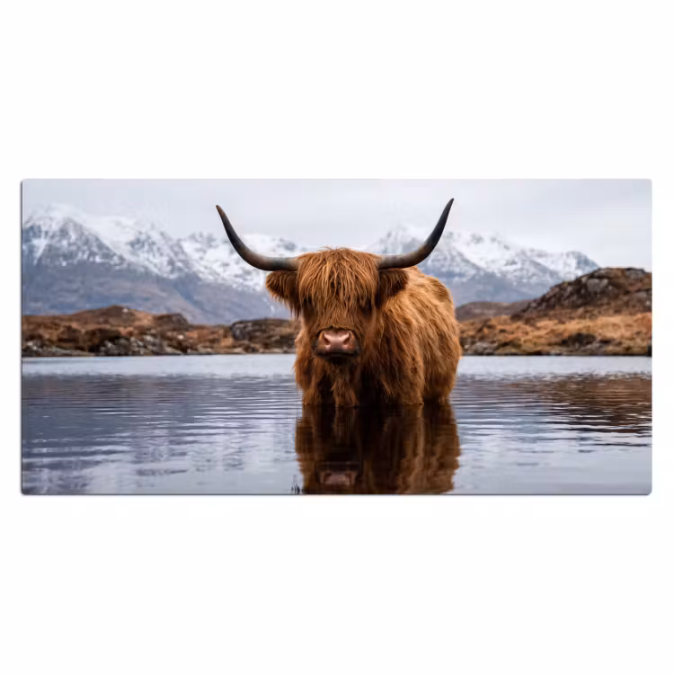 Schotse hooglander - Bruin - Water Muismat XXL klein -3d_leeg