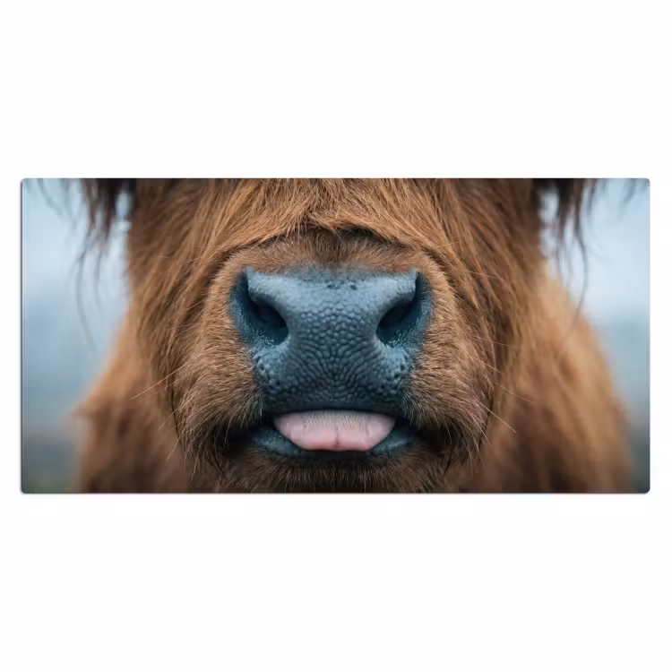 Schotse hooglander - Neus - Bruin Muismat XXL klein -3d_leeg
