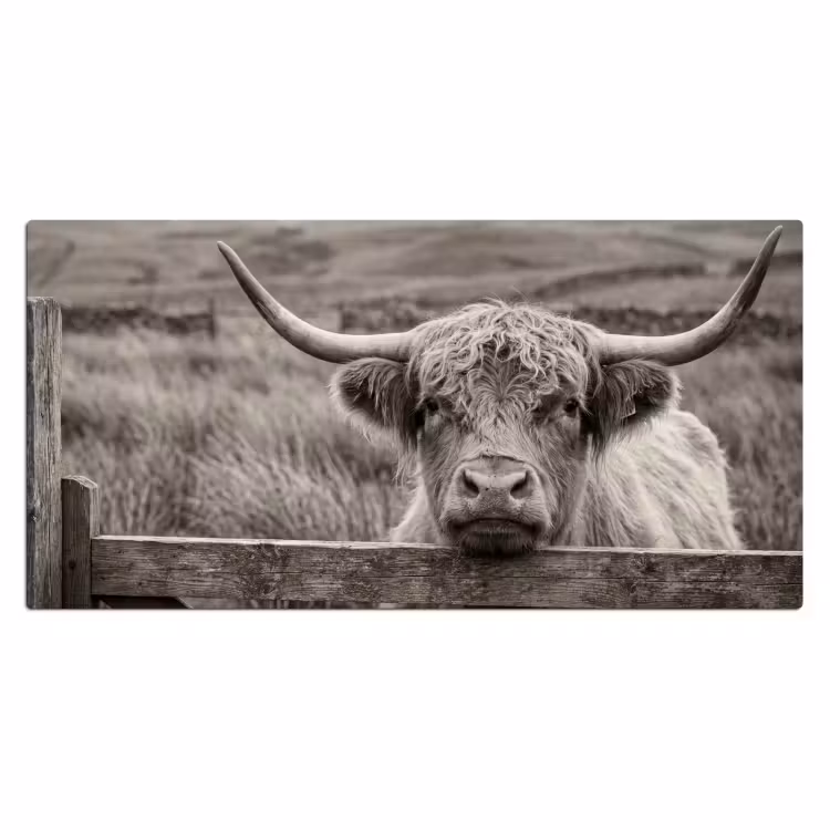 Schotse hooglander - Zwart - Wit - Hout Muismat XXL klein -3d_leeg