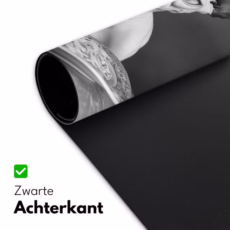 Sphynx - Kat - Dieren - Humor - Spaghetti - Zwart Wit Muismat XXL klein -sfeer2