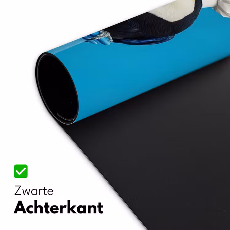 Tucan - Sokkel - Vogel - Koksmuts Muismat XXL klein -sfeer2