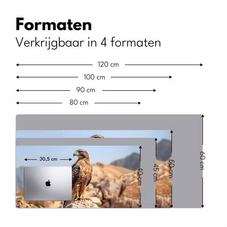 Valk - Vogel - Rots - Macht Muismat XXL klein -sfeer5