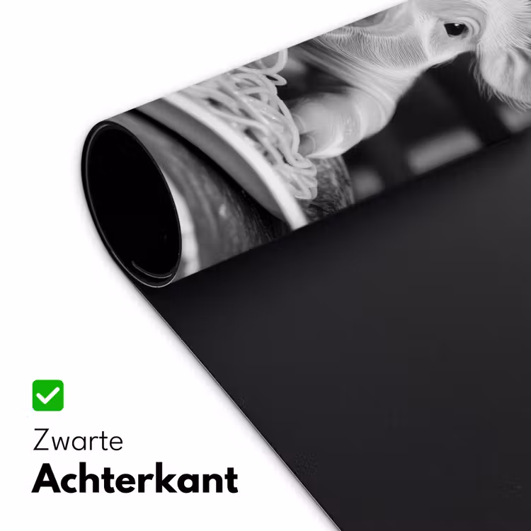 Varken - Schattig - Spaghetti - Zwart wit - Dier Muismat XXL klein -sfeer2