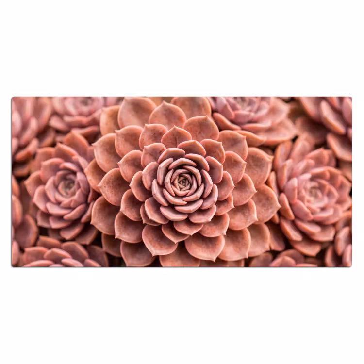 Vetplant - Organisch - Roze Muismat XXL klein -3d_leeg