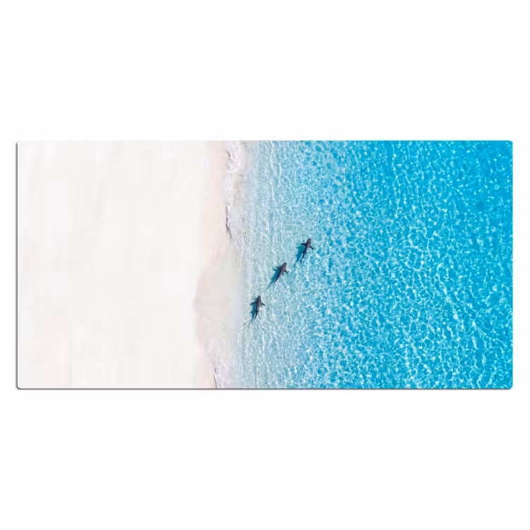Vis - Oceaan - Strand - Turquoise - Natuur Muismat XXL klein -3d_leeg