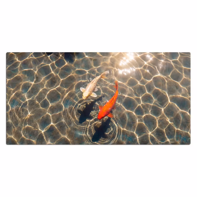 Vis - Water - Dieren - Oranje - Goud Muismat XXL klein -3d_leeg