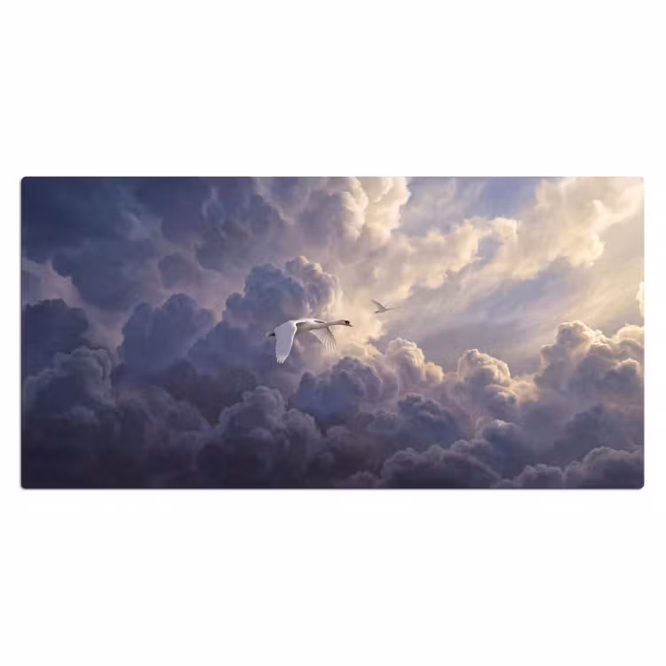 Vogel - Vliegend - Natuur - Wit - Wolken Muismat XXL klein -3d_leeg