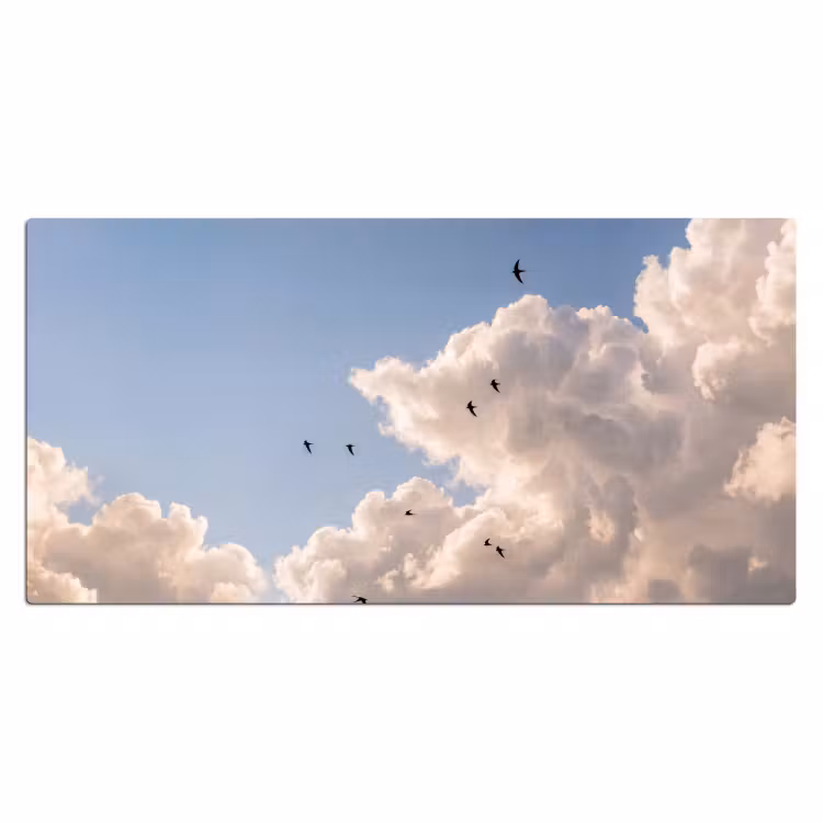 Vogel - Vlucht - Wolken - Natuur - Blauw Muismat XXL klein -3d_leeg