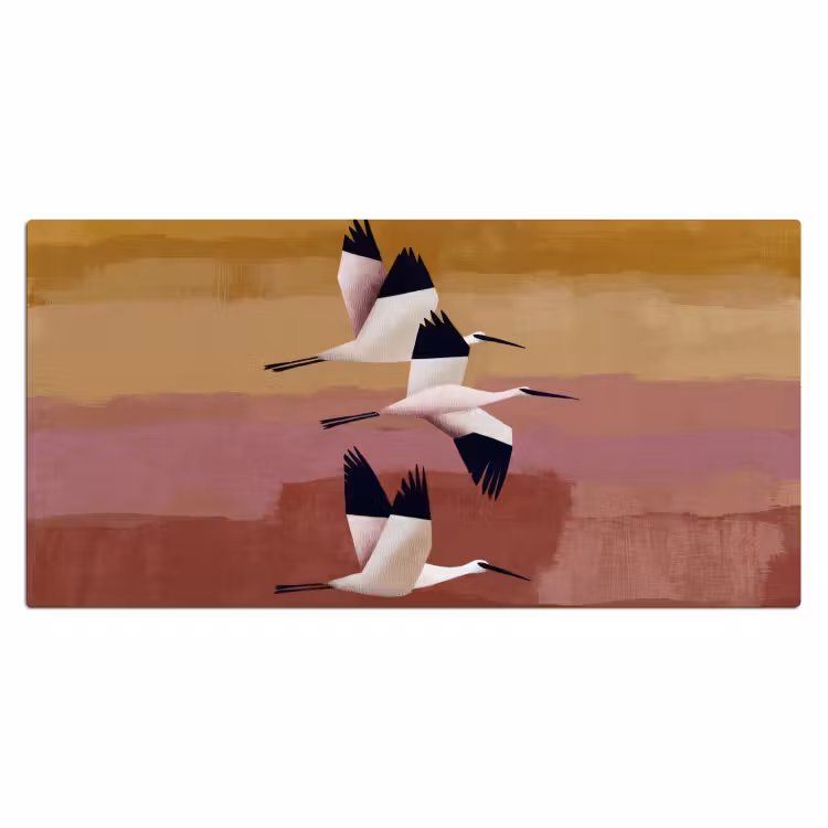 Vogels - Snavel - Abstract Muismat XXL klein -3d_leeg