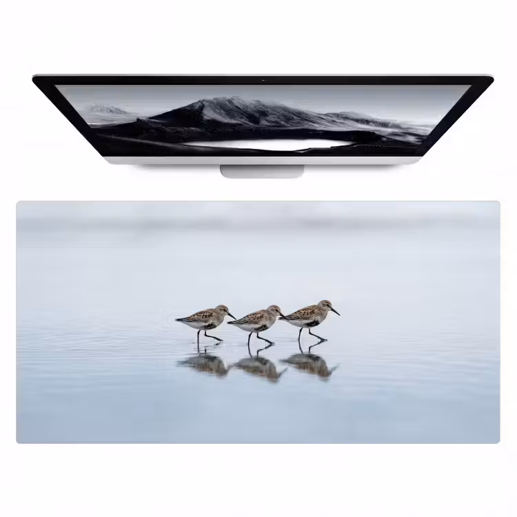Vogels - Water - Grijs Muismat XXL klein -zzz3d