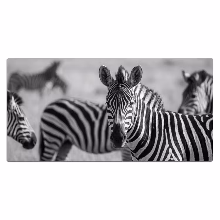 Zebra's - Zwart - Wit Muismat XXL klein -3d_leeg