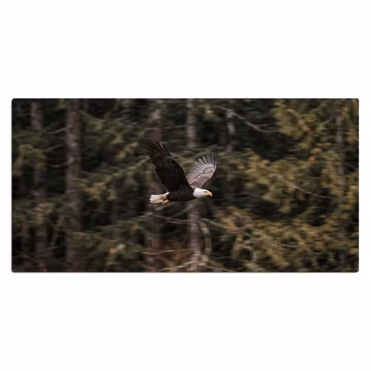 Zeearend - Vliegen - Bos - Natuur Muismat XXL klein -3d_leeg