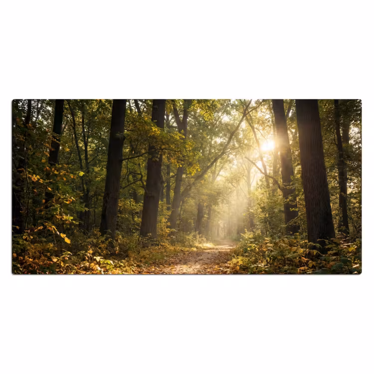 Zonlicht - Bospad - Bomen Muismat XXL klein -3d_leeg