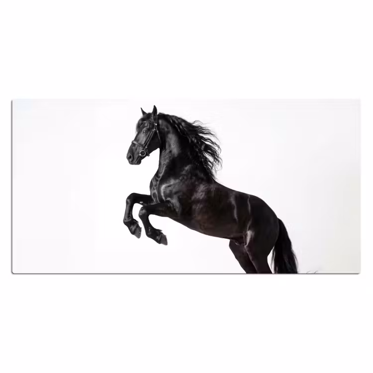 Zwart - Paard - Portret Muismat XXL klein -3d_leeg