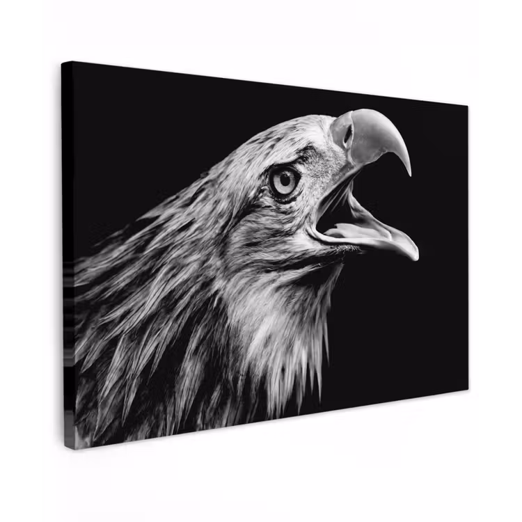 Adelaar - Portret - Roofvogels - Zwart - Wit - Vogel canvas 2cm klein -z3d