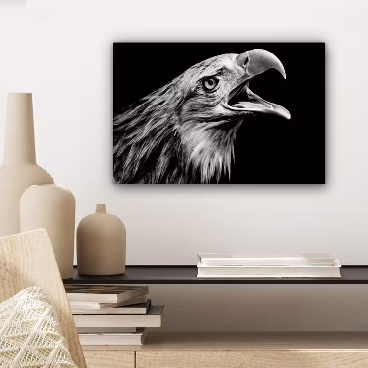 Adelaar - Portret - Roofvogels - Zwart - Wit - Vogel canvas 2cm klein -sfeer6