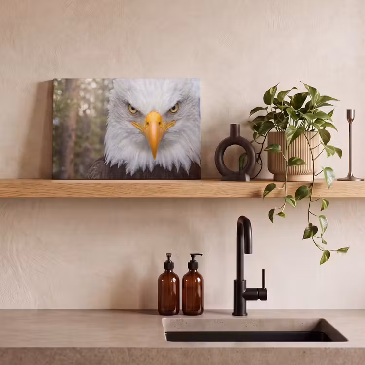 Amerikaans - Zeearend - Portret - Geel canvas 2cm klein -sfeer3