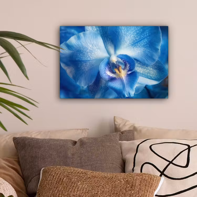 Blauw - Orchidee - Elegeant canvas 2cm klein -sfeer1