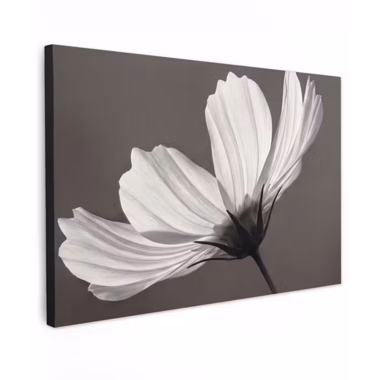 Bloem - Minimalistisch - Zwart - Wit canvas 2cm klein -z3d