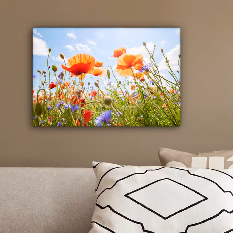 Bloemen - Klaproos - Lente - Natuur - Rood - Blauw canvas 2cm klein -sfeer3