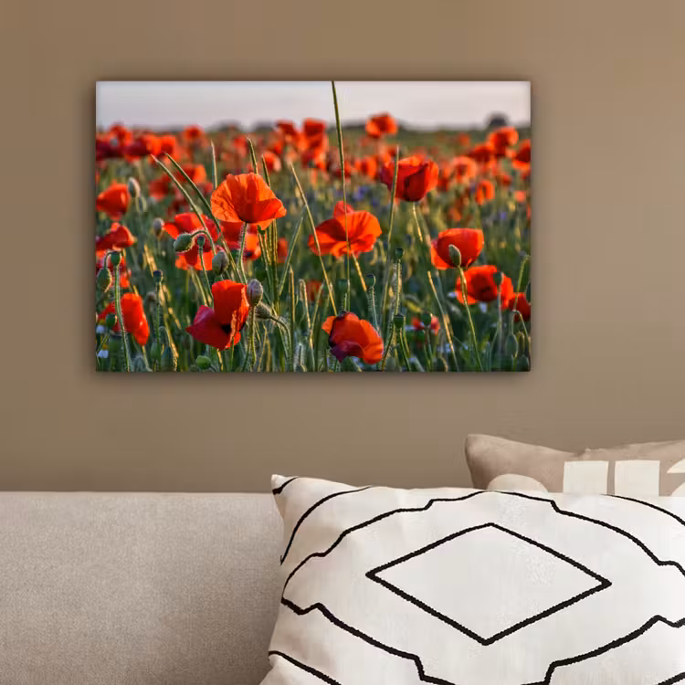 Bloemen - Klaprozen - Natuur - Rood canvas 2cm klein -sfeer3
