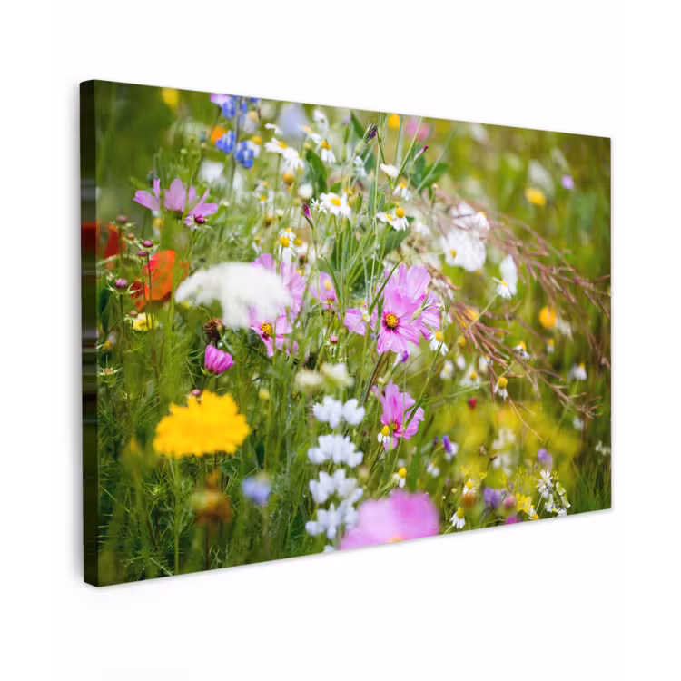 Bloemen - Natuur - Groen - Gras - Paars - Wit canvas 2cm klein -z3d