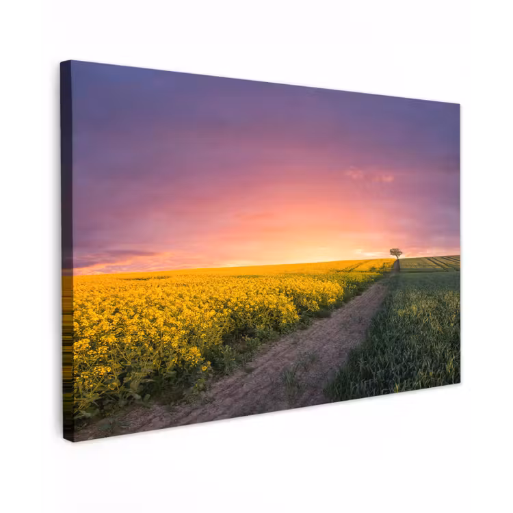Bloemen - Weg - Lucht - Geel - Paars - Zonsondergang - Natuur canvas 2cm klein -z3d