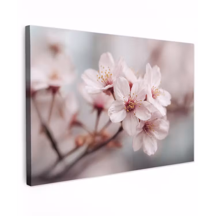 Bloesems - Meeldraden - Geel - Wazig canvas 2cm klein -z3d