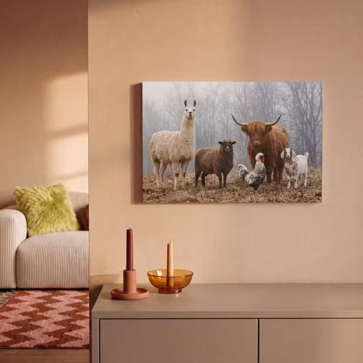 Boerderijdieren - Groep - Mist - Natuur - Rustiek canvas 2cm klein -sfeer1