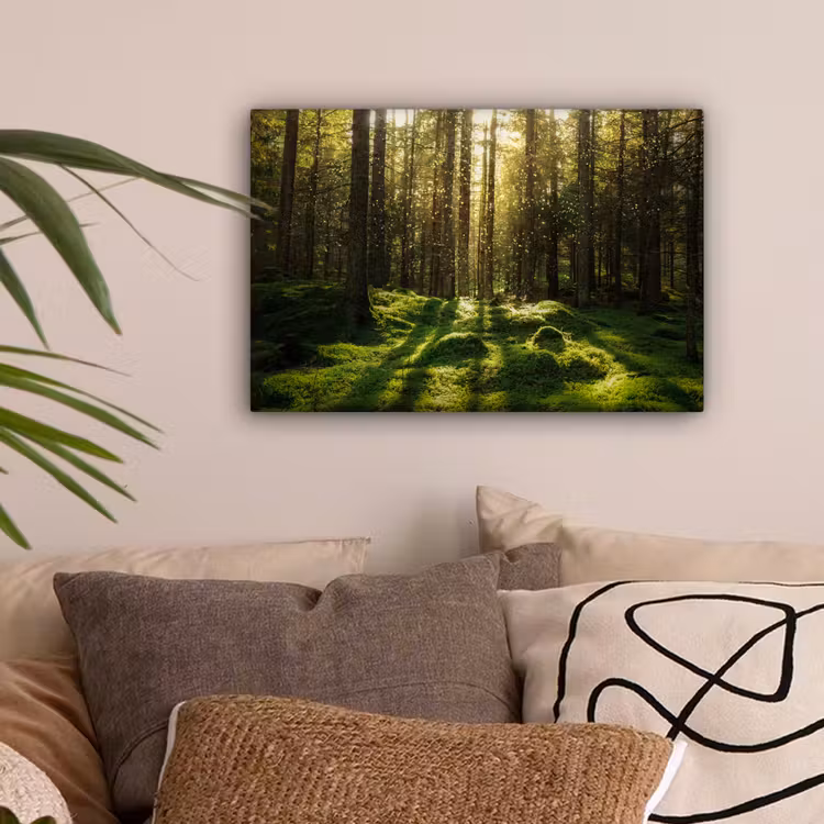 Bomen - Bos - Mos - Planten - Zon - Natuur canvas 2cm klein -sfeer1