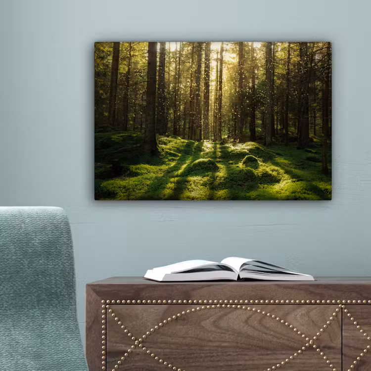 Bomen - Bos - Mos - Planten - Zon - Natuur canvas 2cm klein -sfeer4