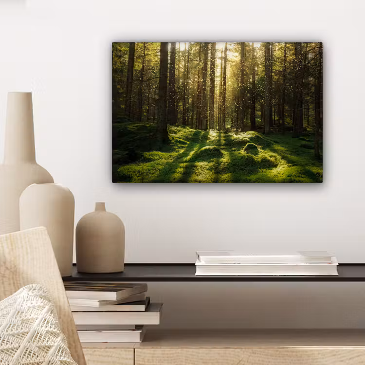 Bomen - Bos - Mos - Planten - Zon - Natuur canvas 2cm klein -sfeer6