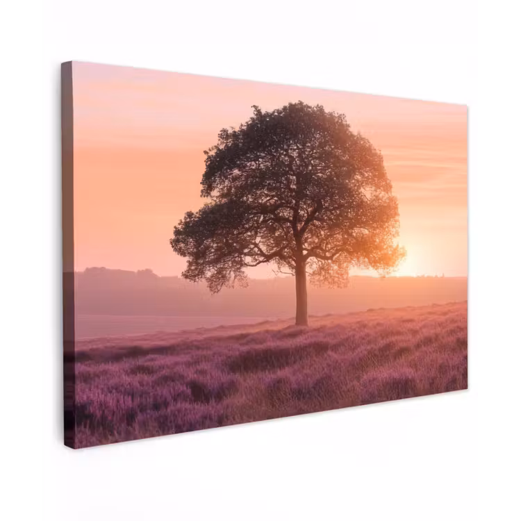 Boom - Heide - Zonsopgang canvas 2cm klein -z3d