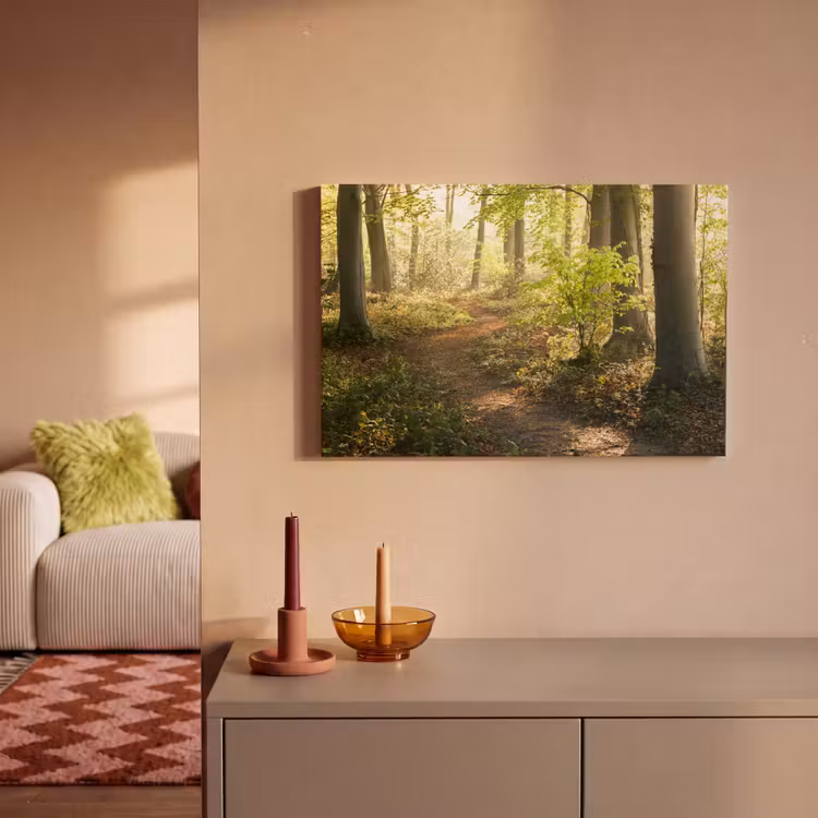 Bos - Bomen - Pad - Zon - Planten - Bladeren - Natuur canvas 2cm klein -sfeer1