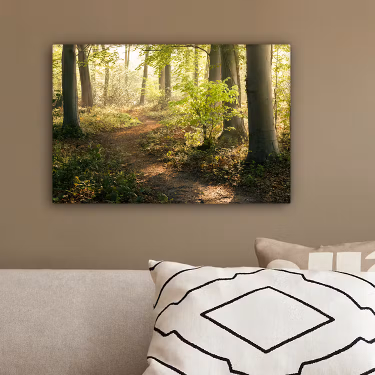 Bos - Bomen - Pad - Zon - Planten - Bladeren - Natuur canvas 2cm klein -sfeer3