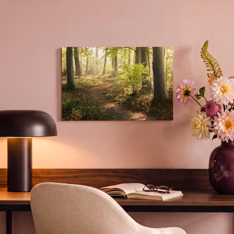 Bos - Bomen - Pad - Zon - Planten - Bladeren - Natuur canvas 2cm klein -sfeer4