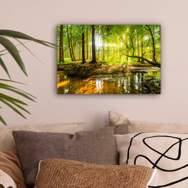 Bos - Landschap - Water - Bomen - Zon - Groen - Natuur canvas 2cm klein -sfeer1