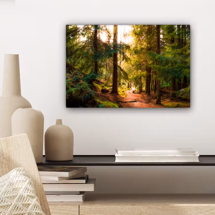 Bos - Pad - Bomen - Groen - Zon - Natuur canvas 2cm klein -sfeer6