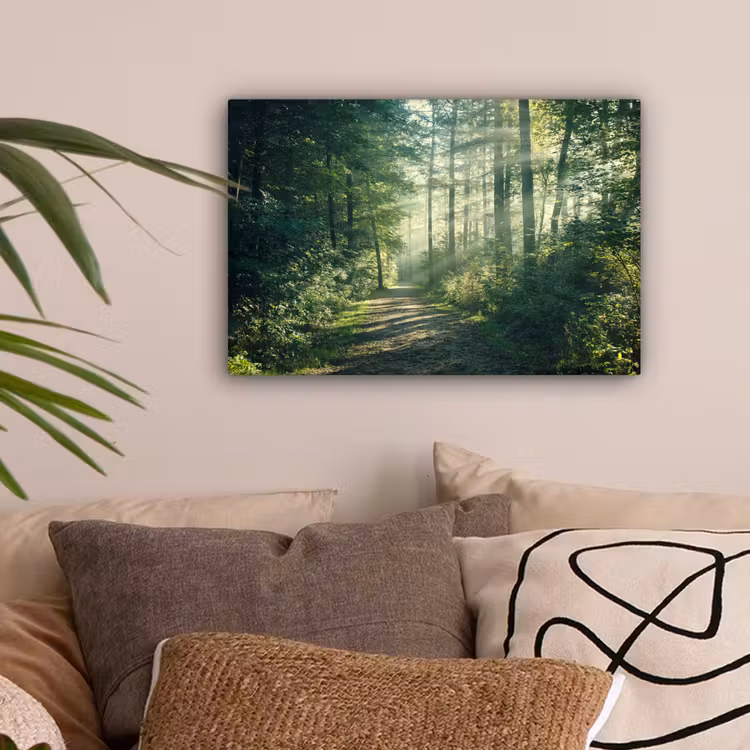 Bos - Pad - Zon - Bomen - Groen - Natuur canvas 2cm klein -sfeer1