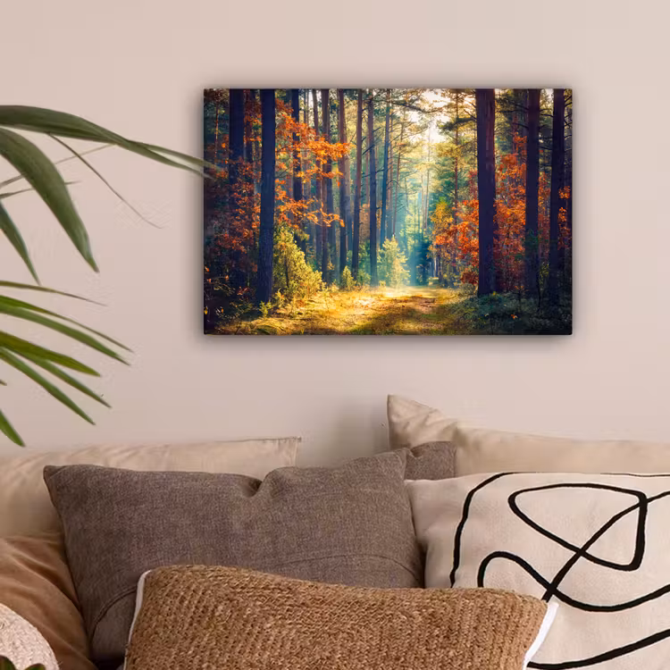 Bos - Zon - Natuur - Herfst canvas 2cm klein -sfeer1