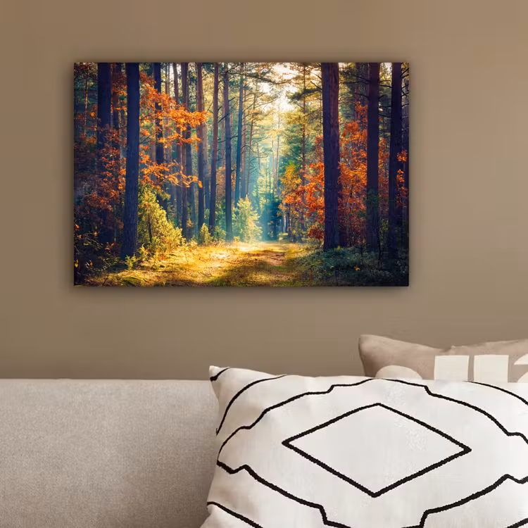 Bos - Zon - Natuur - Herfst canvas 2cm klein -sfeer3