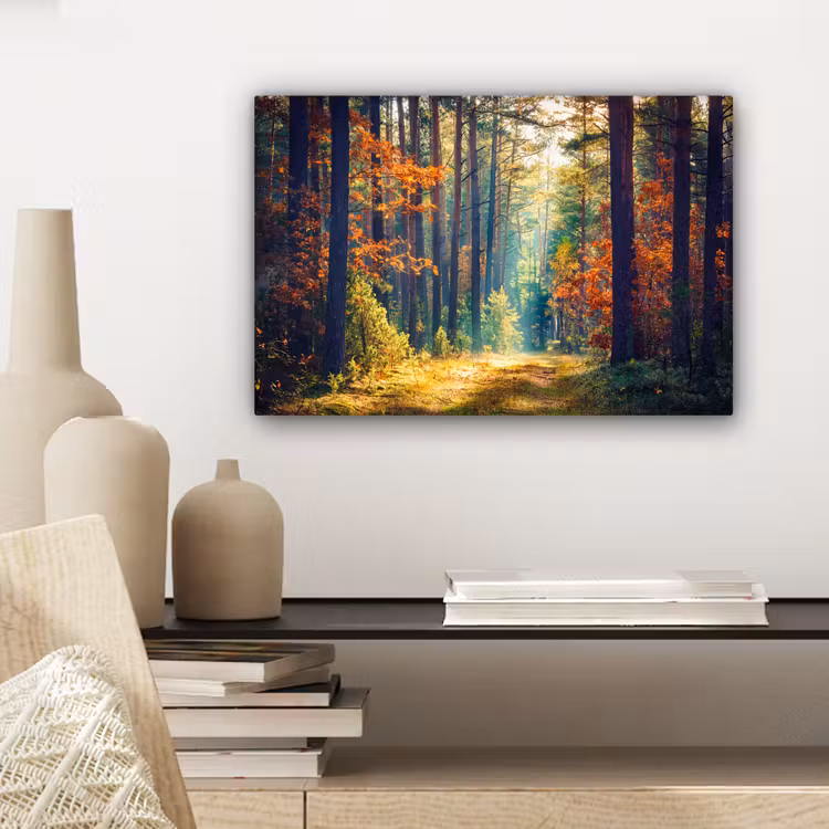 Bos - Zon - Natuur - Herfst canvas 2cm klein -sfeer6