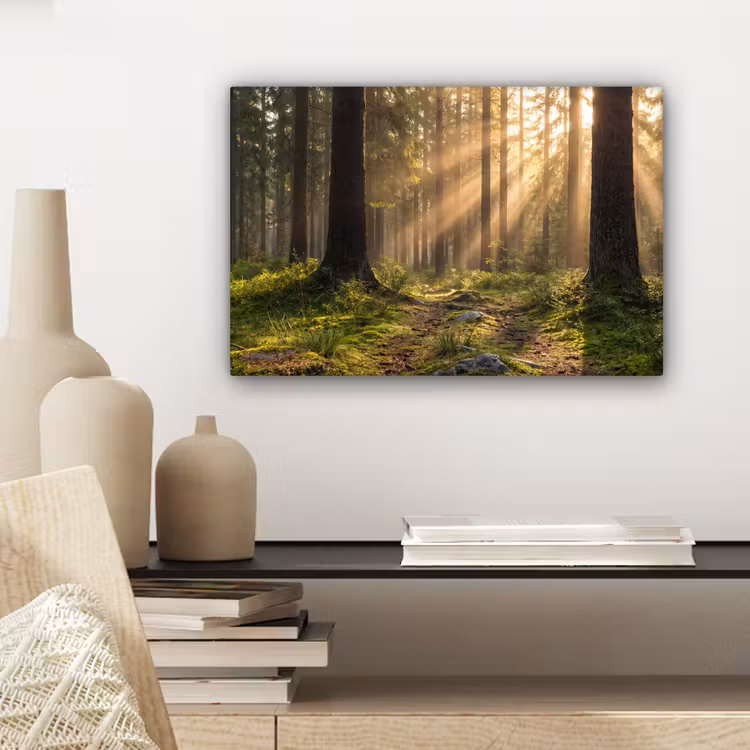 Bos - Zonlicht - Gras canvas 2cm klein -sfeer6
