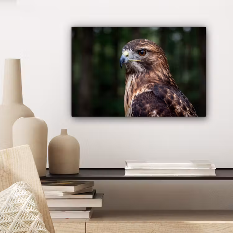 Buizerd - Roofvogel - Natuur - Bruin canvas 2cm klein -sfeer6