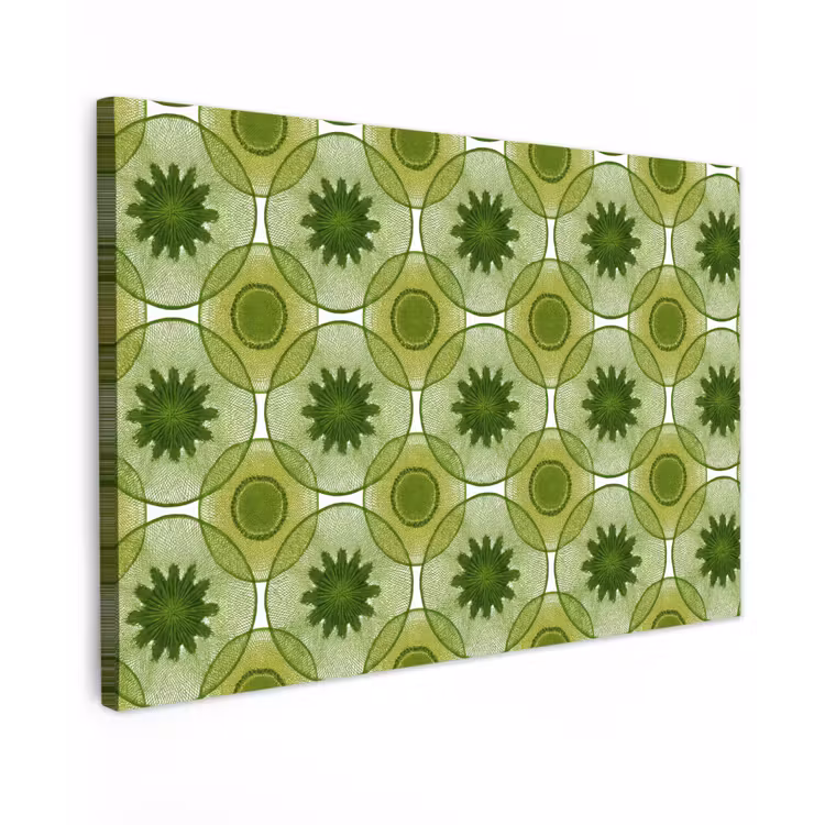 Cirkels - Patroon - Groen canvas 2cm klein 34 -z3d