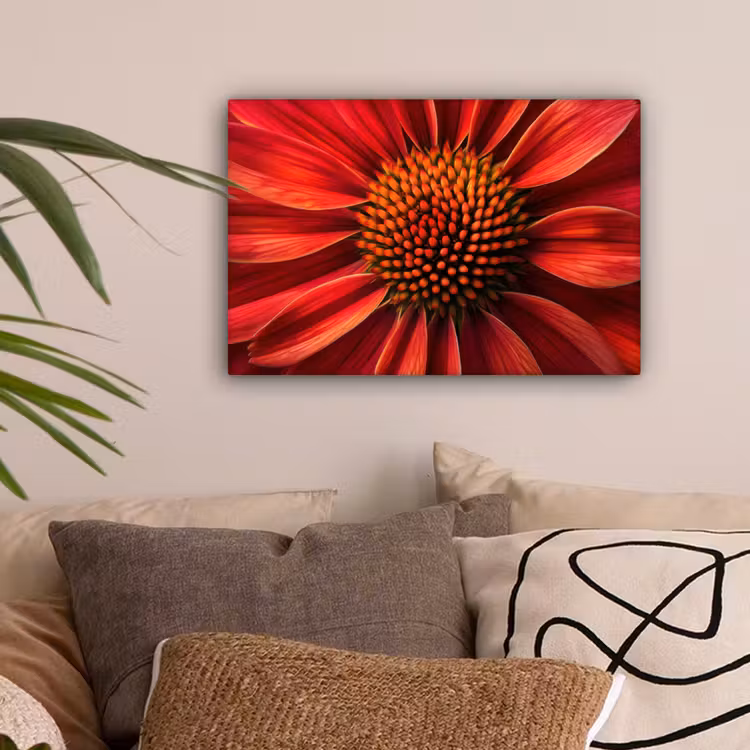 Close up - Bloem- Rood canvas 2cm klein -sfeer1