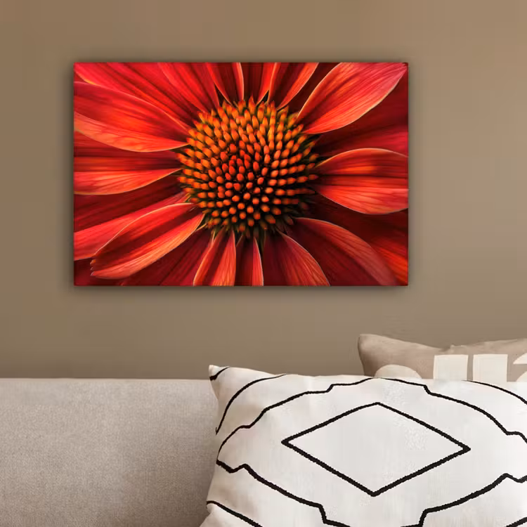 Close up - Bloem- Rood canvas 2cm klein -sfeer3